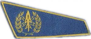 Flash Berets Patch of the Air Force of Ukraine. Model 5