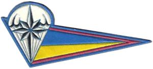 Беретная нашивка (уголок) 95-ой бригады специального назначения аэромобильных войск ВС Украины