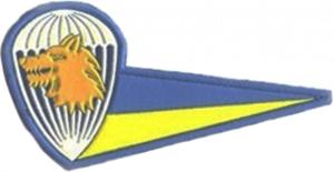 Berets Cloth Flash Patch of 40th Separate Airmobile Brigade of the Armed Forces of Ukraine. 1997.