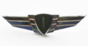 Qualification Badge "1" of the Technical Staff of the Air Force Lithuania