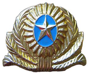 Cockade Officers, Warrant officers and Contractors of the Armed Forces of Kazakhstan