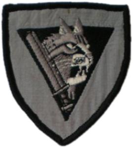 Patche of the Border Guard of Estonia