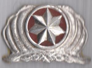 Officer's Cap Badge of Internal Troops Georgia since 2000