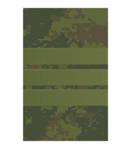 Rank Insignia Sergeant for Digital Camo Uniform of Russian Armed Force. Since 2009