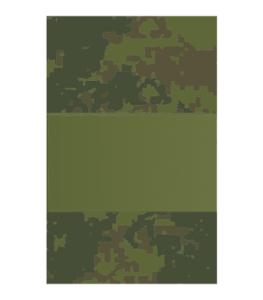 Rank Insignia Senior Sergeant for Digital Camo Uniform of Russian Armed Force. Since 2009