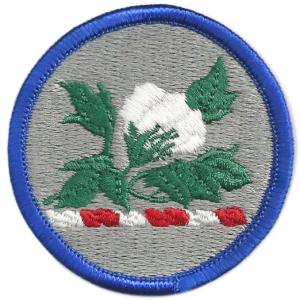 Alabama Army National Guard Element Patch, Joint Force Headquarters. US Army