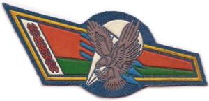 Berets Flash Patch of 103th separate mobile brigades of the Armed Forces of Belarus