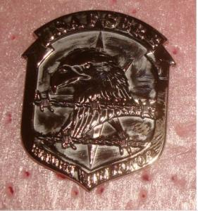 Survival, Evasion,Resistance and Escape (SERE) school instructors beret badge