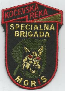 Special Forces brigade \"MORIS\" type2