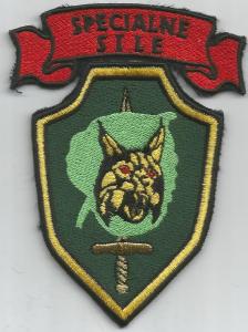 Special Forces brigade \"MORIS\" type3