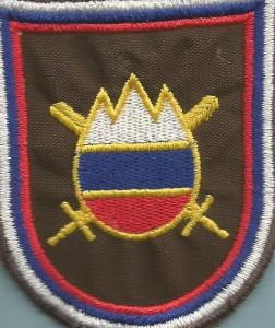 Slovenia Military Force