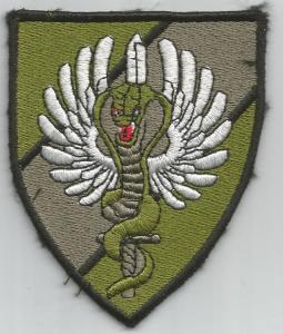 COBRA anti terrorist squadron