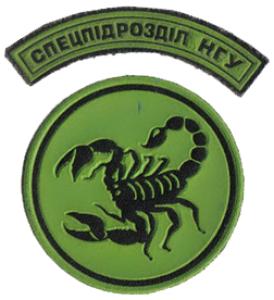 National Guard Patch