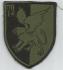 72nd Reconnaissance battalion-Commando