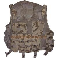Ukraine Army Desert Camo Tactical Vest "Pustelya-3"