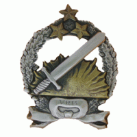 1."Valmieras" border guard battalion breast mark /Latvian State Border Guard/