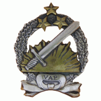 Border Guard Valmiera administration  breast mark /Latvian State Border Guard/