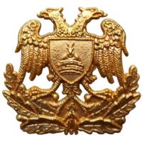 Badge Albanian Army