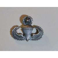 Parachutist badge ( Master)  minimum 65 jumps