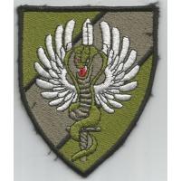 COBRA anti terrorist squadron