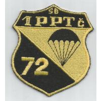 1st company of 72nd Special Force brigade( obsolute)