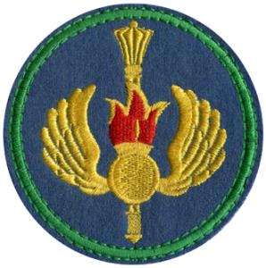 Нарукавный знак Командование Воздушно-десантными войсками (ВДВ) Вооруженных Сил России