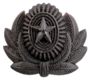 Officer's Cap Badge for the field form the Armed Forces of the Russian Federation