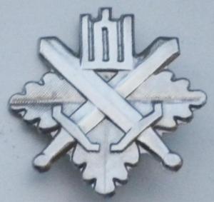 Cap Badge of Reserve Volunteer Force of Regional Protection, Model 2. Lithuania