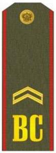 Shoulder Strap "Junior Sergeant" Russia's Armed Forces