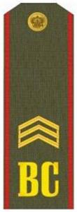 Shoulder Strap "Sergeant" Russia's Armed Forces