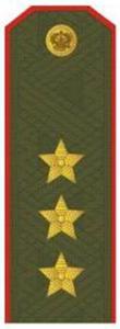Shoulder Strap "Colonel-General" Russia's Armed Forces