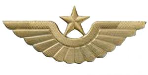 Cockarde a crown of a peak-cap Air Force of Kazakhstan