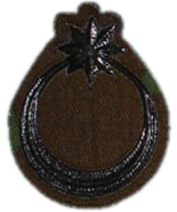 Cap, Beret Badge of the Armed Forces of Azerbaijan