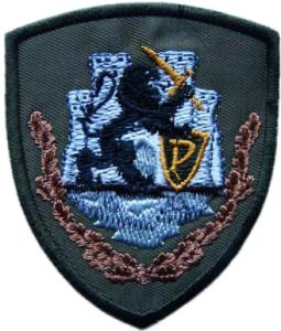 Patch Engineering Battalion Estonia