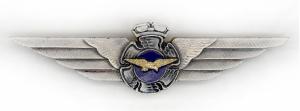 Нагрудный знак пилотов ВВС Финляндии