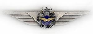 Pilot Silver Badge of Air Force. Finland