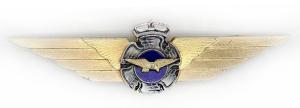 Pilot Gold Badge of Air Force. Finland