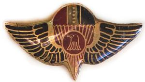 Special Forces Badge . IRAQ