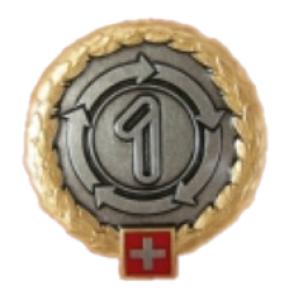 1st Logistics Brigade Beret Badge. Switzerland Armed Forces