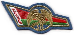 The 38th Mobile Brigade Flash Berets Patch of the Armed Forces of the Republic of Belarus