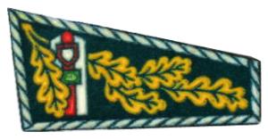 Beret Flash Patch of the Border Troops of the Republic of Belarus #1