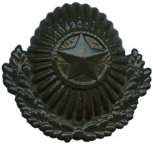 Subdued Badge of the Armed Forces of the Republic of Belarus