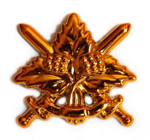 General Military Insignia of the Armed Forces of Ukraine