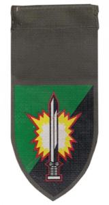 Combat engineers battalion "Asaf" Shoulder Tag of Engineer Corps Israel Defense Forces