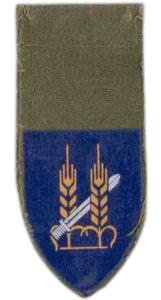 10th Armoured Reserve Brigade "Harel" Shoulder Tag Israel Defense Forces