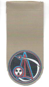 Air Force Shoulder Tag IDF