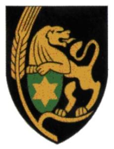 Armor Shoulder Tag of Israel Defense Forces