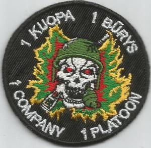 Grand Duke Algirdas Mechanized battalion 1st coy1platoon( unofficial)