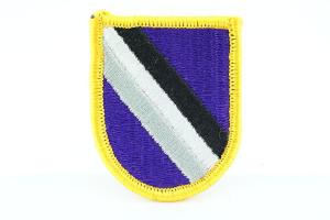 95th CA bn( Airborne)