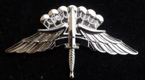 Military FreeFall Parachutist badge ( H.A.L.O)